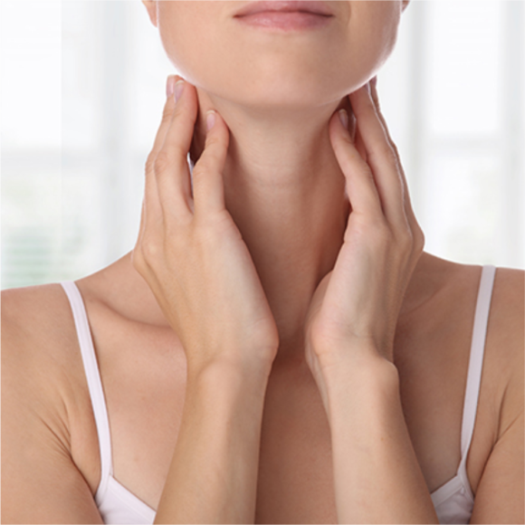 Thyroid & Weight Loss plan Thyroid & Weight Loss plan